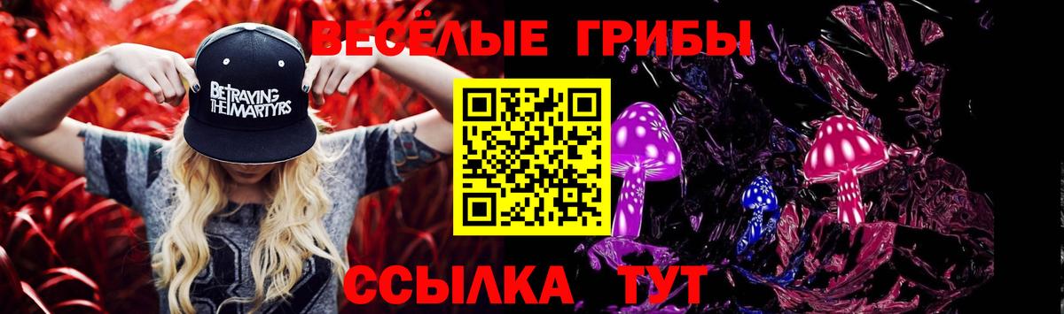 Гатчина  Галлюциногенные грибы мицелий  Вход с VPN 