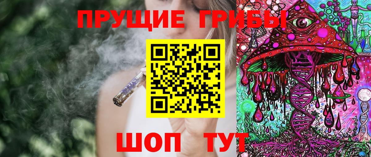 Галлюциногенные грибы MAGIC MUSHROOMS Гатчина